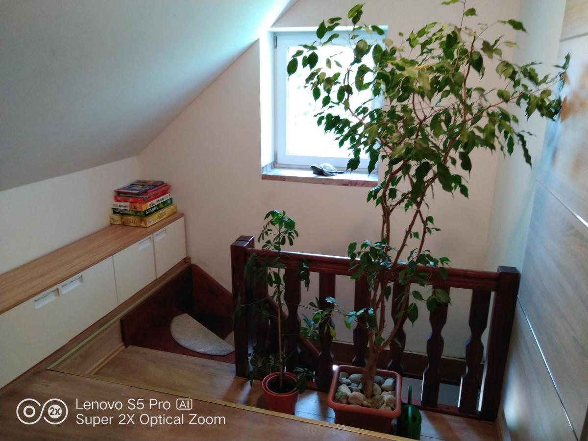 Wellness Apartman Beavital Dolany  Exterior photo